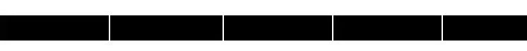 Black horizontal bar with five equal segments