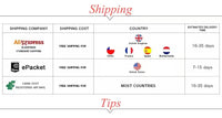 Table showing shipping options with delivery times for different countries.