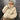 Women's Lamb Wool Short Cotton Coat
