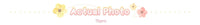 Chic Women's Thermal Lamb Wool Coats